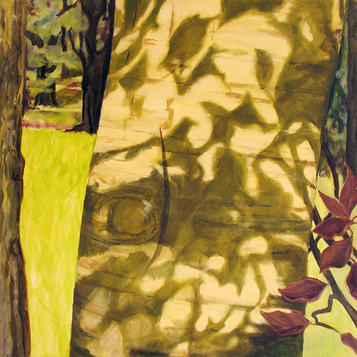 Sally Pettus painting, Shadows on a Beech Tree
